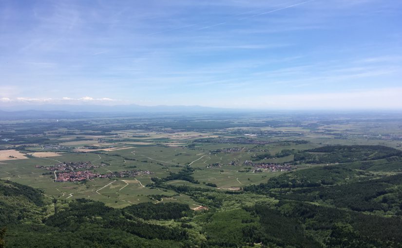 Elsässer Weinstraße